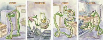 Blake the Snake Bakes a Cake - Amy Young [KSIĄŻKA]
