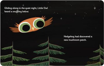 Little Owl's Love - Divya Srinivasan [KSIĄŻKA]