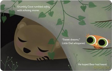 Little Owl's Love - Divya Srinivasan [KSIĄŻKA]