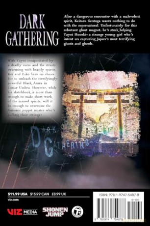 Dark Gathering, Vol. 13: Volume 13 - Kenichi Kondo [KOMIKS]