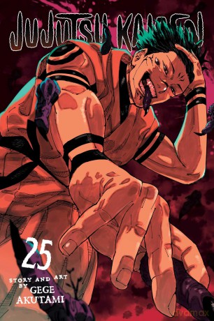 Jujutsu Kaisen, Vol. 25: Volume 25 - Gege Akutami [KOMIKS]