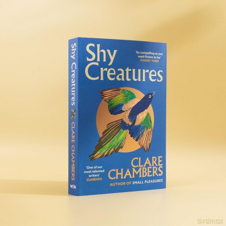 Shy Creatures: The perfect summer read from the bestselling author of Small Pleasures - Clare Chambers [KSIĄŻKA]