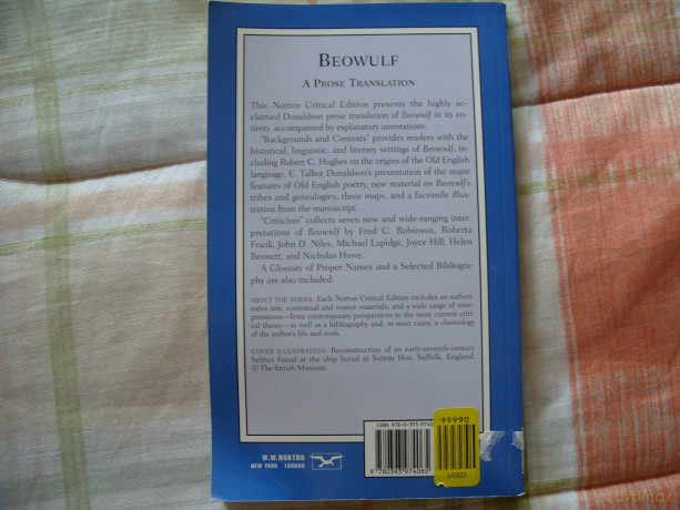 Beowulf - A Prose Translation: A Norton Critical Edition: 0 (Norton Critical Editions) - Nicholas Howe [KSIĄŻKA]