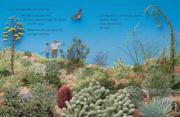 Desert Jungle - Jeannie Baker [KSIĄŻKA]