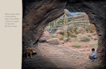Desert Jungle - Jeannie Baker [KSIĄŻKA]