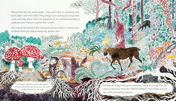 Green: The Story of Plant Life on Our Planet (We're Going on a Bear Hunt) - Nicola Davies [KSIĄŻKA]