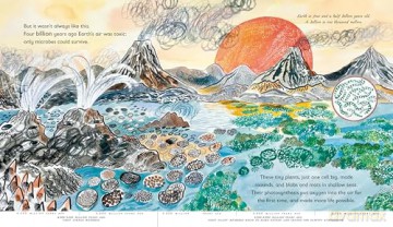 Green: The Story of Plant Life on Our Planet (We're Going on a Bear Hunt) - Nicola Davies [KSIĄŻKA]