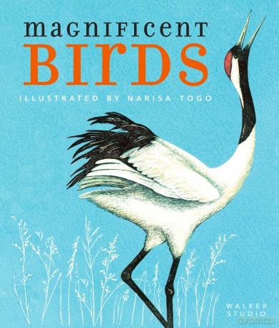 Magnificent Birds (Walker Studio) - Narisa Togo [KSIĄŻKA]