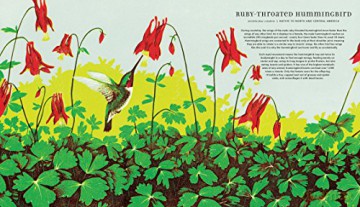 Magnificent Birds (Walker Studio) - Narisa Togo [KSIĄŻKA]