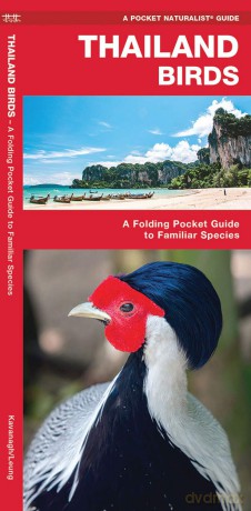 Thailand Birds: A Folding Pocket Guide to Familiar Species (A Pocket Naturalist Guide) (Nature Observation International) - James Kavanagh [KSIĄŻKA]