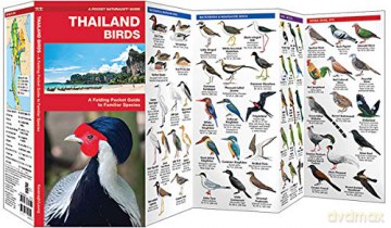 Thailand Birds: A Folding Pocket Guide to Familiar Species (A Pocket Naturalist Guide) (Nature Observation International) - James Kavanagh [KSIĄŻKA]