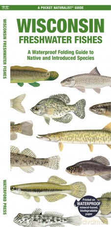 Wisconsin Freshwater Fishes: A Folding Guide to Native and Introduced Species (Nature Observation North America) - Matthew Morris Waterford Press [KSIĄŻKA]