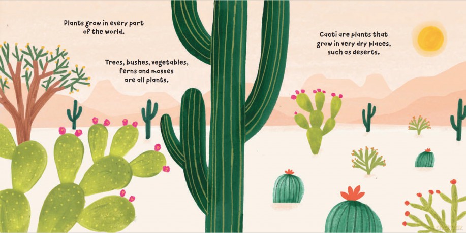 Clever Cacti (Plant Fun) - Susie Williams [KSIĄŻKA]