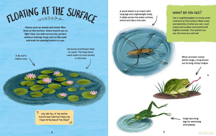 Exploring Ponds (Adventures in Nature) - Jen Green [KSIĄŻKA]