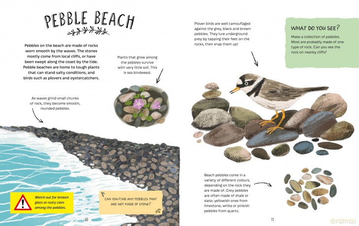 Exploring the Seaside (Adventures in Nature) - Jen Green [KSIĄŻKA]