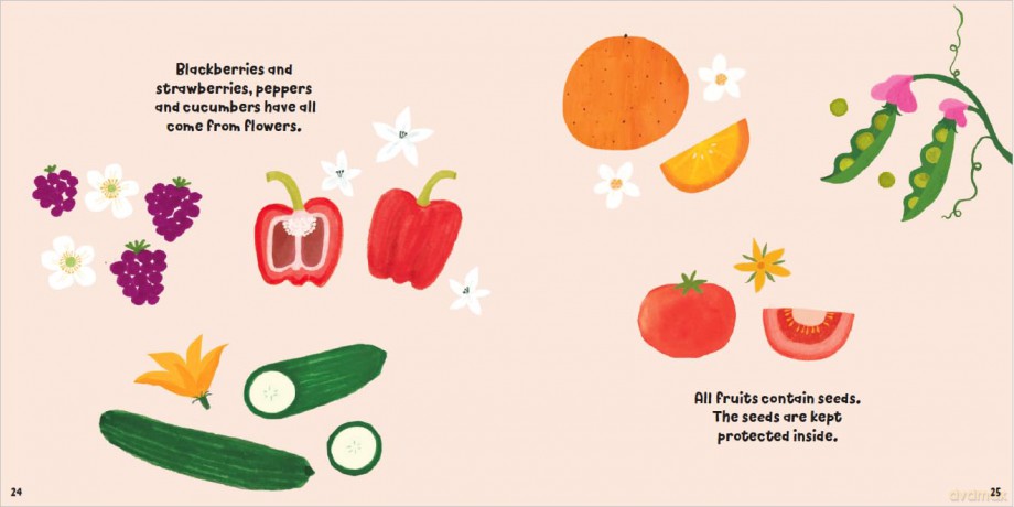 Fruitful Flowers (Plant Fun) - Susie Williams [KSIĄŻKA]