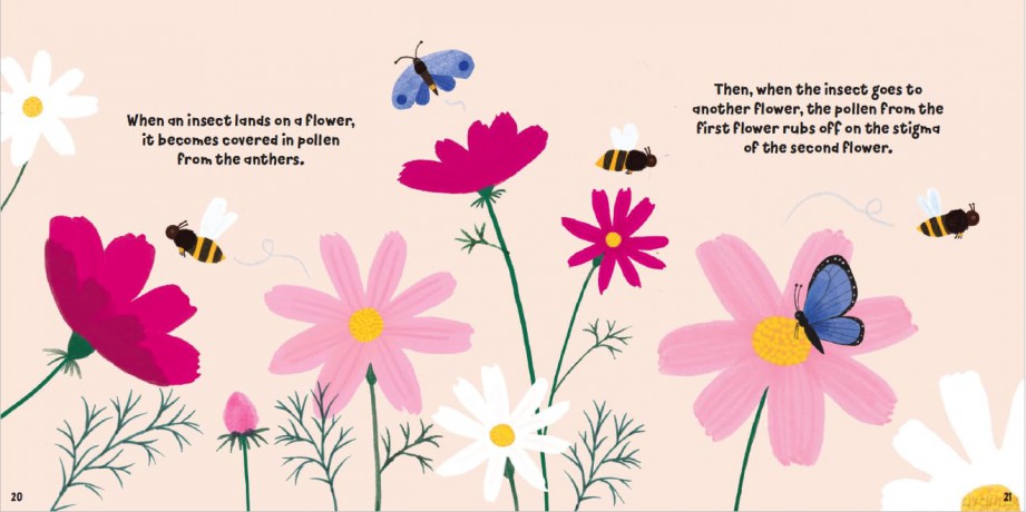 Fruitful Flowers (Plant Fun) - Susie Williams [KSIĄŻKA]
