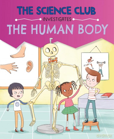 The Human Body (The Science Club Investigates) - Mary Auld [KSIĄŻKA]