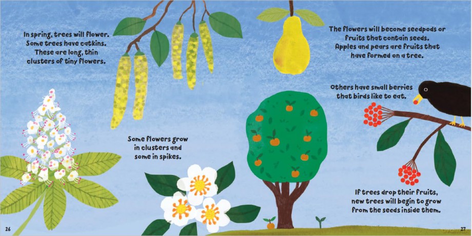 Tremendous Trees (Plant Fun) - Susie Williams [KSIĄŻKA]