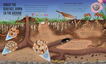 Under the Ground: Seek, find and celebrate nature's treasures with the Natural History Museum (My Nature Collection) - Cameron Menzies [KSIĄŻKA]