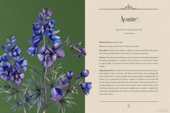 Enchanted Plants: A Treasury of Botanical Folklore and Magic - Varla A. Ventura [KSIĄŻKA]