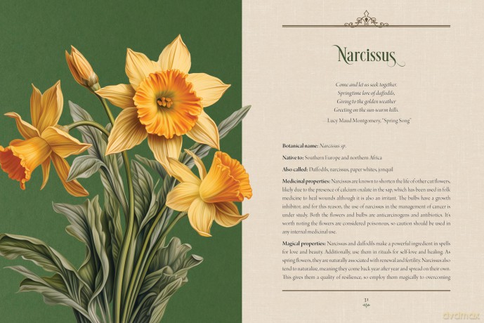 Enchanted Plants: A Treasury of Botanical Folklore and Magic - Varla A. Ventura [KSIĄŻKA]