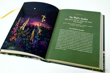 Enchanted Plants: A Treasury of Botanical Folklore and Magic - Varla A. Ventura [KSIĄŻKA]