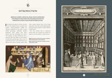 Kew: The Apothecary's Garden: The science and mythology of medicinal plants (Royal Botanic Gardens, Kew) - Emma Wayland [KSIĄŻKA]