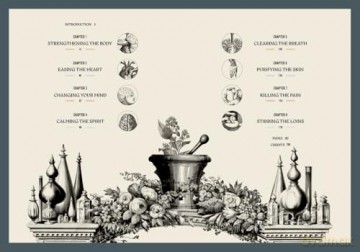 Kew: The Apothecary's Garden: The science and mythology of medicinal plants (Royal Botanic Gardens, Kew) - Emma Wayland [KSIĄŻKA]