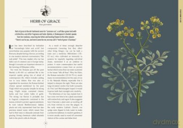 Kew: The Apothecary's Garden: The science and mythology of medicinal plants (Royal Botanic Gardens, Kew) - Emma Wayland [KSIĄŻKA]