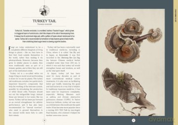 Kew: The Apothecary's Garden: The science and mythology of medicinal plants (Royal Botanic Gardens, Kew) - Emma Wayland [KSIĄŻKA]