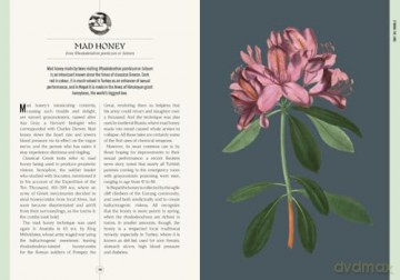 Kew: The Apothecary's Garden: The science and mythology of medicinal plants (Royal Botanic Gardens, Kew) - Emma Wayland [KSIĄŻKA]