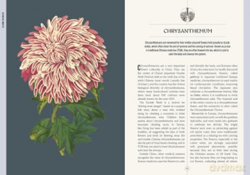 Kew: The Apothecary's Garden: The science and mythology of medicinal plants (Royal Botanic Gardens, Kew) - Emma Wayland [KSIĄŻKA]
