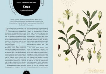 Kew: The Psychedelic Garden: Mind-altering plants in folklore, superstition and popular culture (Royal Botanic Gardens, Kew) - Sandra Lawrence [KSIĄŻKA]