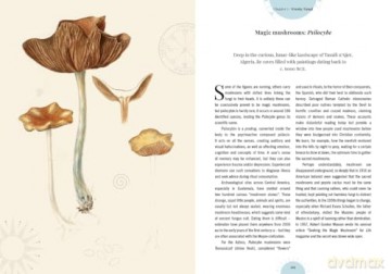Kew: The Psychedelic Garden: Mind-altering plants in folklore, superstition and popular culture (Royal Botanic Gardens, Kew) - Sandra Lawrence [KSIĄŻKA]