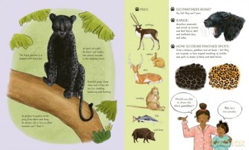 Meet the Cats - Kate Peridot [KSIĄŻKA]