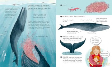 Meet the Whales - Kate Peridot [KSIĄŻKA]