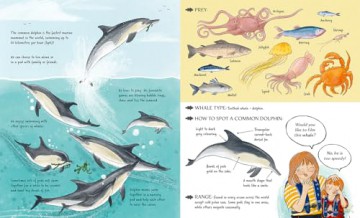 Meet the Whales - Kate Peridot [KSIĄŻKA]