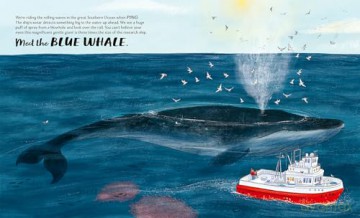 Meet the Whales - Kate Peridot [KSIĄŻKA]