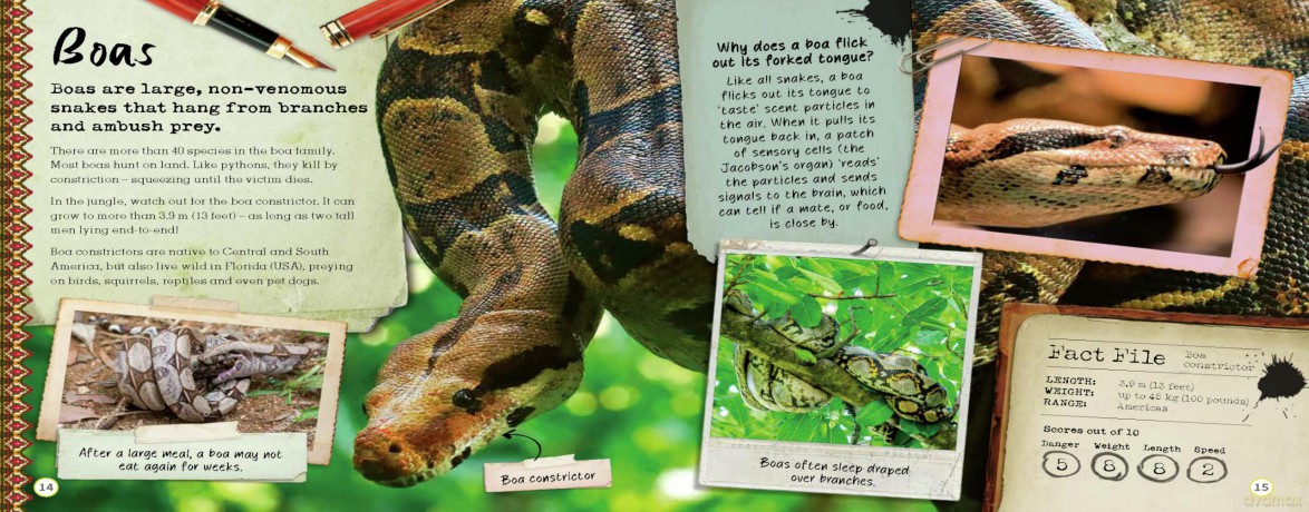 The Book of Snakes - Welbeck Children's Books [KSIĄŻKA]