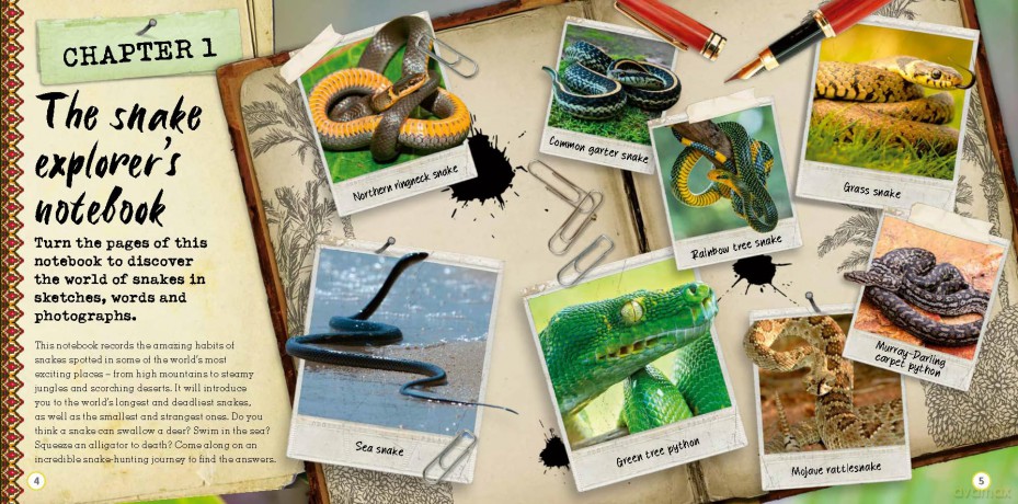 The Book of Snakes - Welbeck Children's Books [KSIĄŻKA]