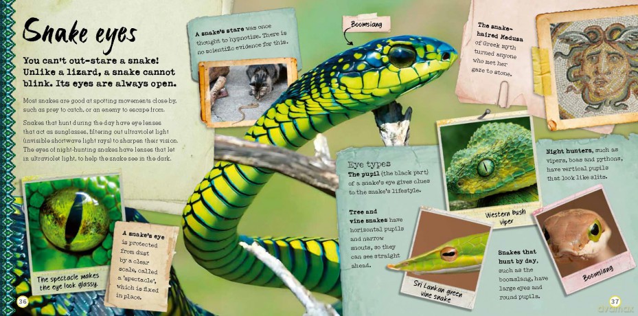 The Book of Snakes - Welbeck Children's Books [KSIĄŻKA]