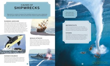 Wrecked: A Deep Dive into the World's Most Famous Shipwrecks - Rebecca Siegel [KSIĄŻKA]