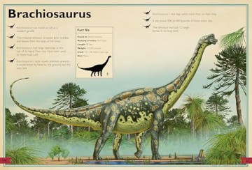 The Magnificent Book of Dinosaurs And Other Prehistoric Creatures (The Magnificent Books) - Tom Jackson [KSIĄŻKA]