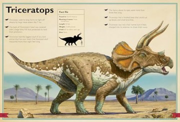 The Magnificent Book of Dinosaurs And Other Prehistoric Creatures (The Magnificent Books) - Tom Jackson [KSIĄŻKA]