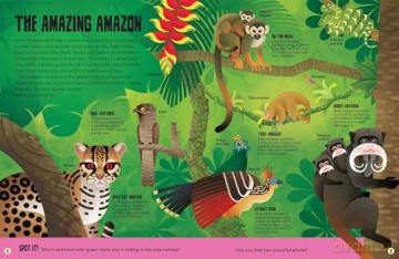 My First Jungle Atlas - Camilla de la Bedoyere [KSIĄŻKA]