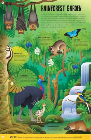 My First Jungle Atlas - Camilla de la Bedoyere [KSIĄŻKA]