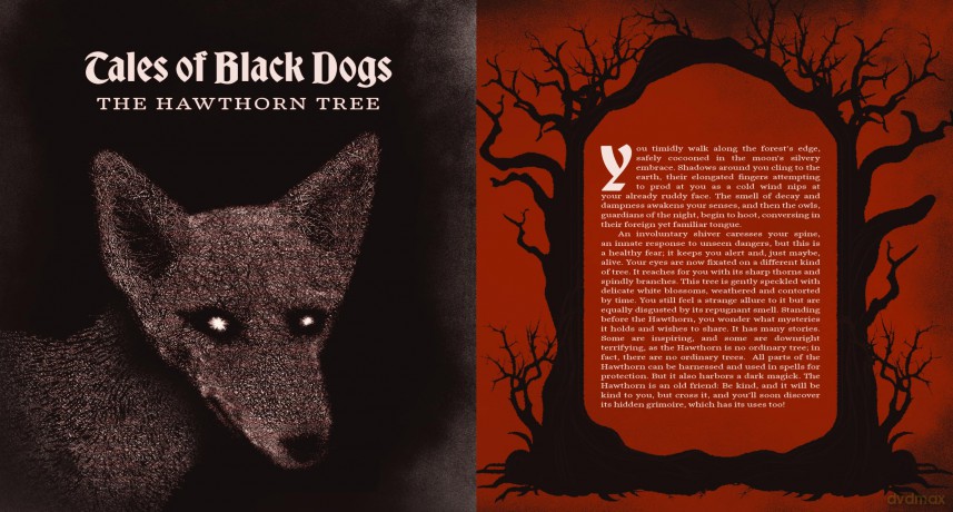 Tales from the Whispering Woods: Stories of Fear and Folklore from the Dark Forest - Sarah J H Powell [KSIĄŻKA]