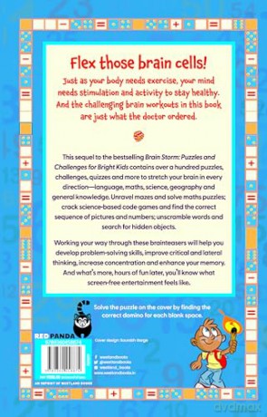 Brain Storm 3: Puzzles and Challenges for Smart Kids - Red Panda [KSIĄŻKA]