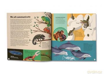 We are All Animals - Discover what YOU have in common with a cat, a bat, a jellyfish and 150 other animals! - Christopher Lloyd [KSIĄŻKA]